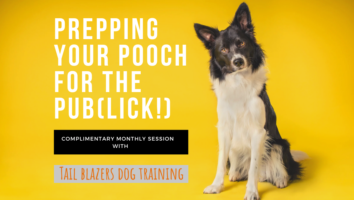 Prepping your Pooch for the Pub(lick!)