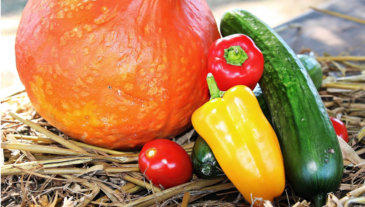 Photo of freshly harvested vegetables